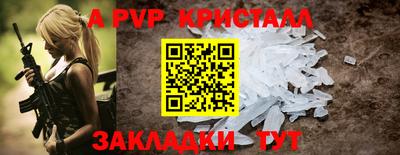 кокс Кингисепп