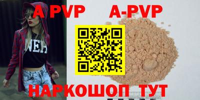 кокс Кингисепп
