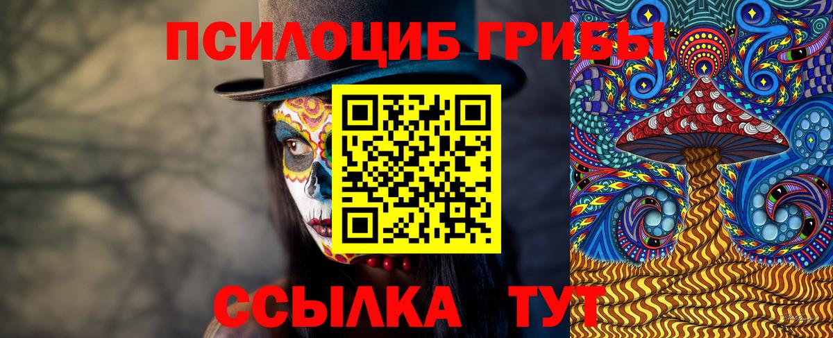 Псилоцибиновые грибы Cubensis Красноперекопск