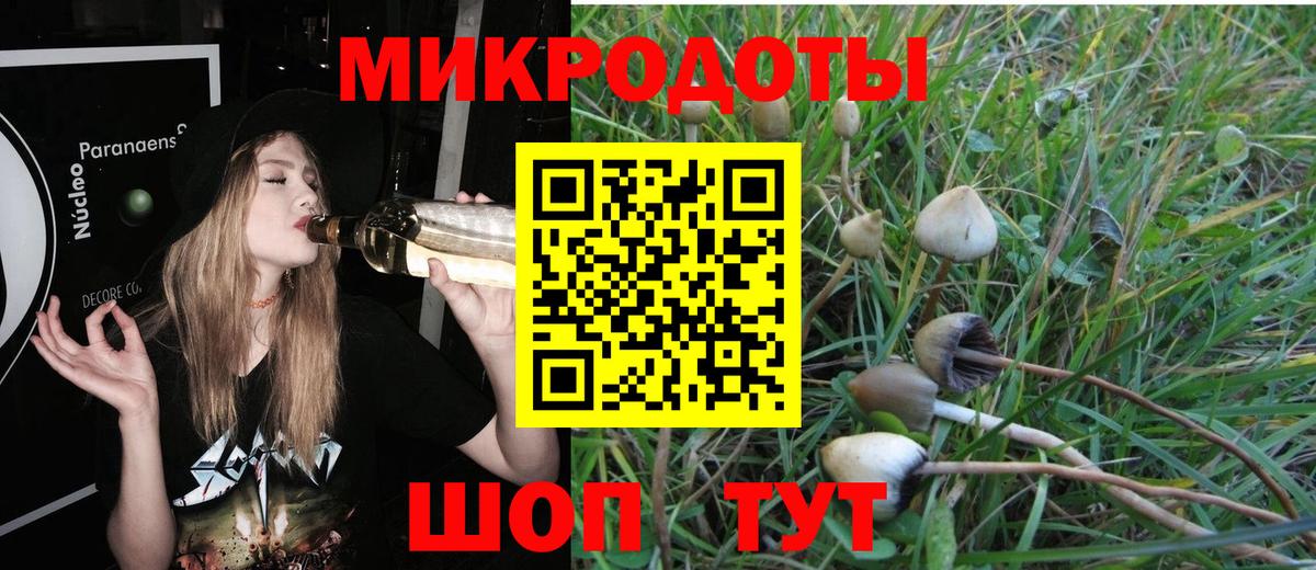 Псилоцибиновые грибы Psilocybine cubensis  Вход с VPN  Красноперекопск 